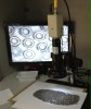 Video microscope